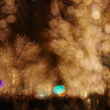 光の花咲く丸の内