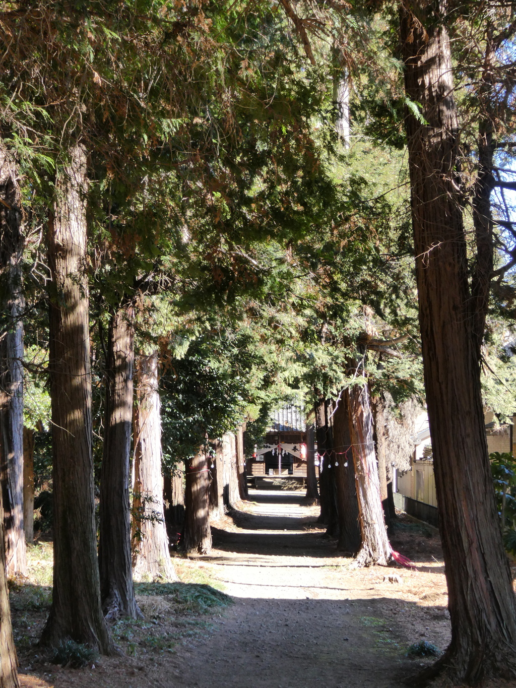 白髭神社参道