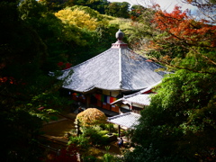 秋の神武寺