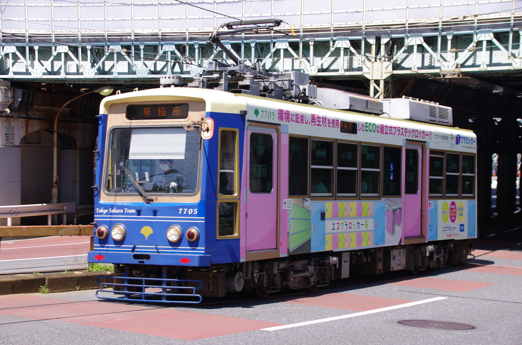 飛鳥山でも会いました