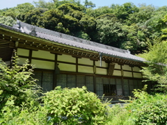 黄梅院