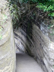 池子層