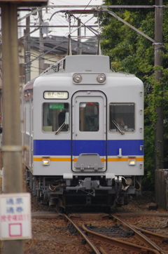 これだけ見れば南海の一路線？