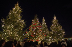 4本のクリスマスツリー