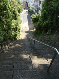 東福寺の階段(上から)