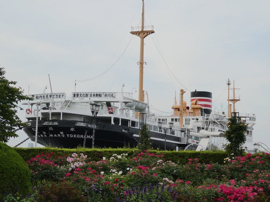 バラ園と氷川丸