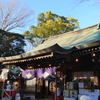 初詣(川越氷川神社)