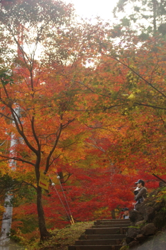 秩父御嶽神社の紅葉(９)