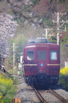 2023 FIRST RUN！(3)