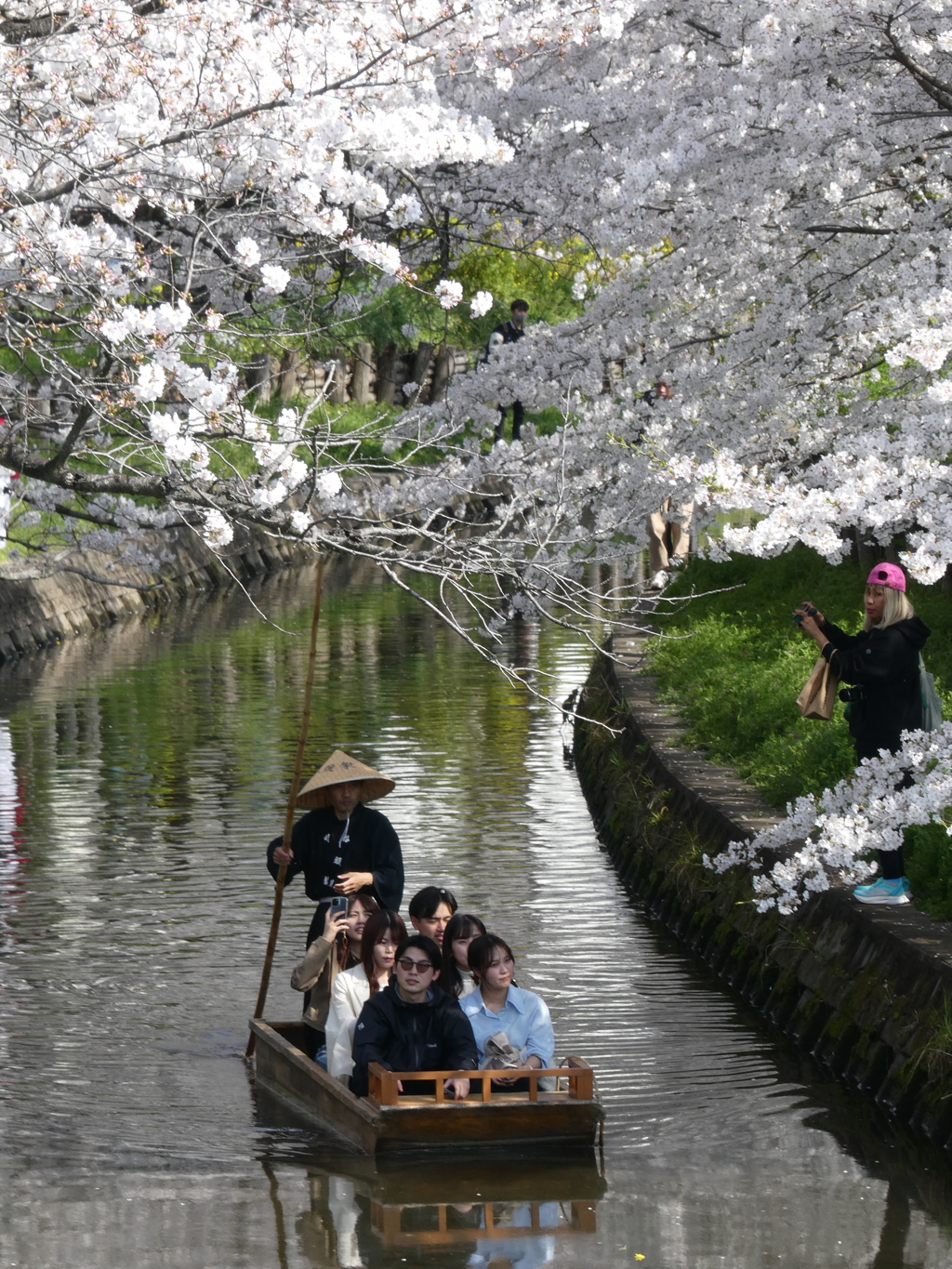 春の新河岸川を花見船が行く(4)