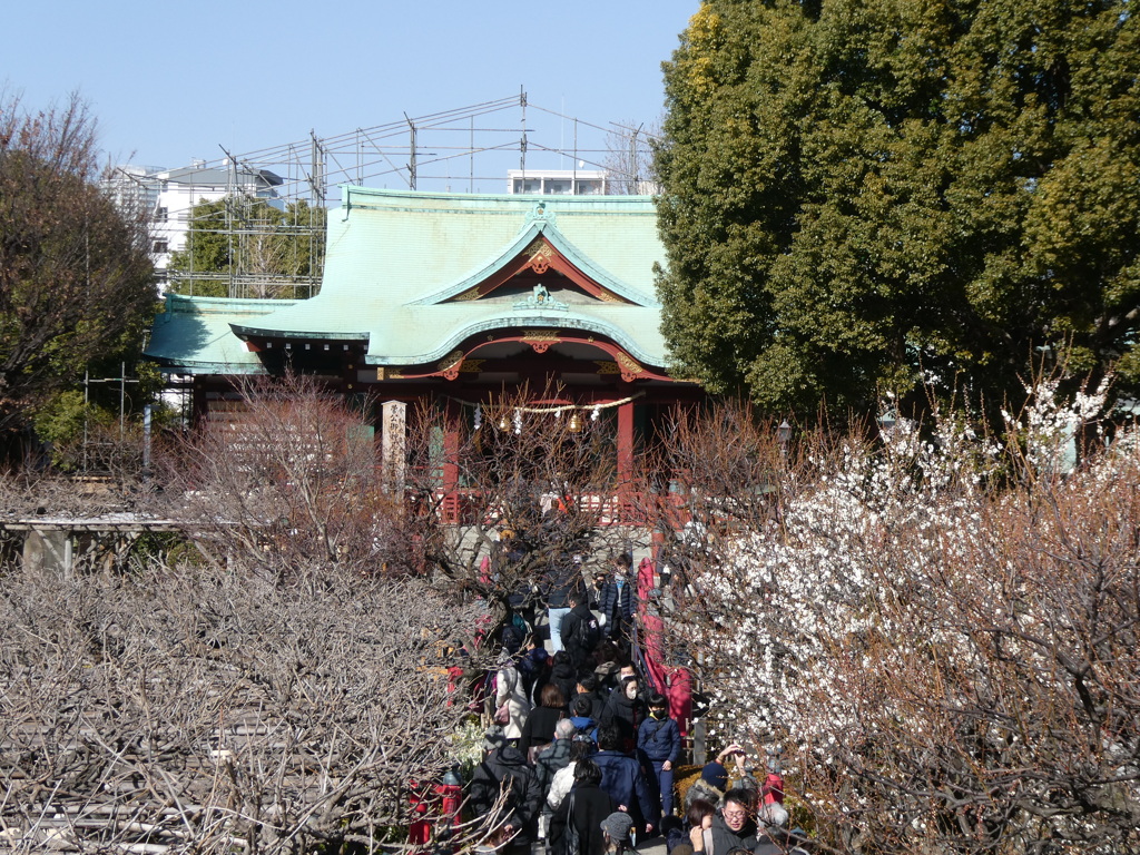 梅は咲き始め、でも参道は大賑わい