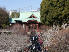 梅は咲き始め、でも参道は大賑わい
