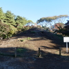 野火止塚(九十九塚)