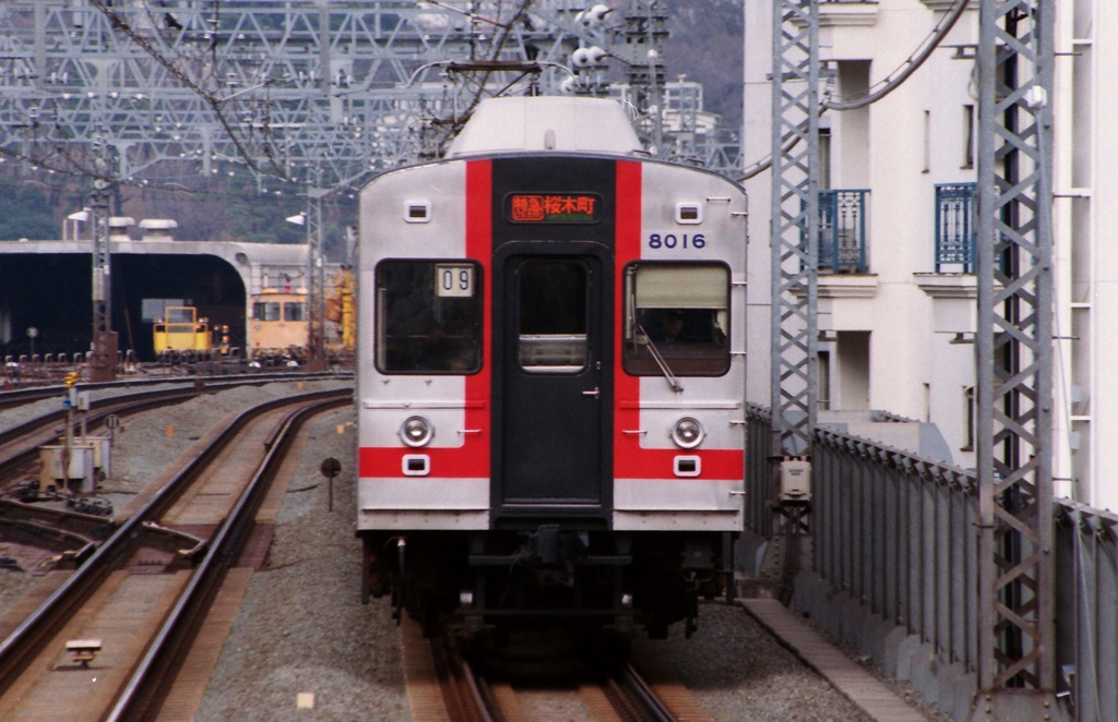 東急8000系各駅特急桜木町行き