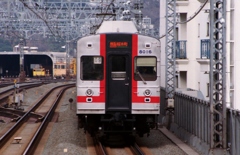 東急8000系各駅特急桜木町行き