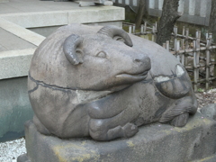 牛天神北野神社の撫で牛