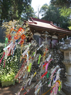 霞野神社の七夕(2)