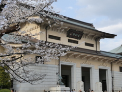 遊就館と桜(２)
