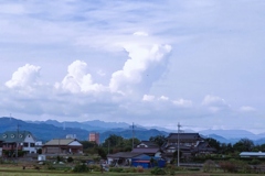 秋の入道雲