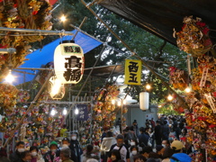 氷川神社の十日市(とおかまち)その１