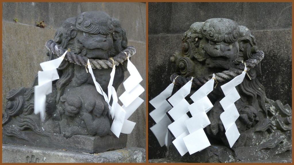 海南神社の狛犬