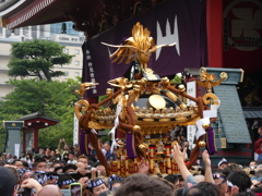 浅草寺前を通る神輿(１)