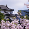富士見櫓と桜