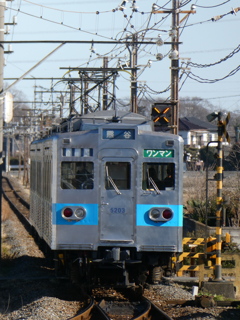 秩父鉄道5000系後ろ撮り