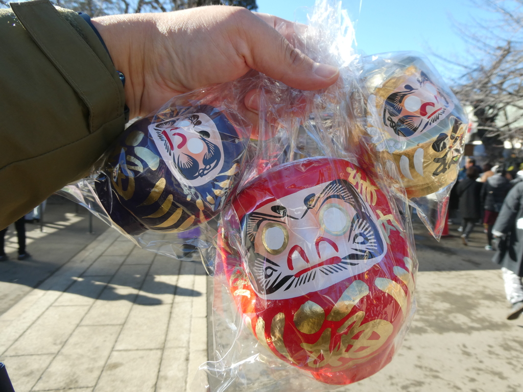 今年のだるまたち