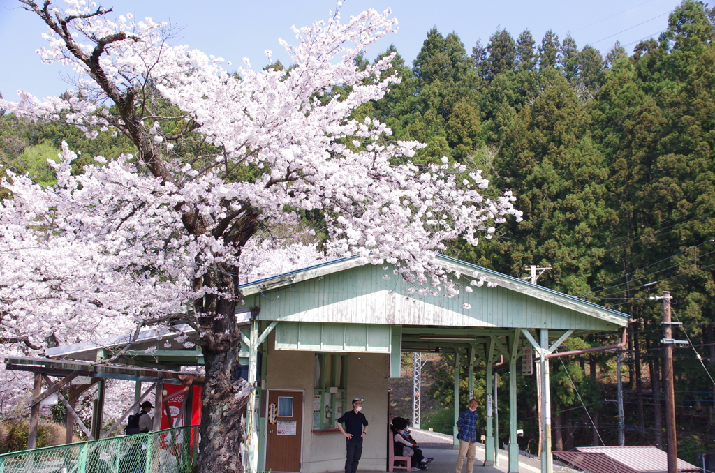 春の浦山口駅