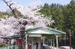 春の浦山口駅