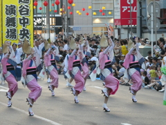 令和７年越谷阿波踊り（７）