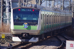 やっと会えた！記念電車(１)