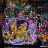 来年こそ輝け！