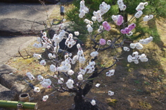 小さな「思いのまま」(1)