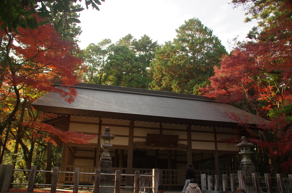 紅葉と秩父御嶽神社本殿(２)
