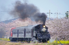 驀進！春のもおか号(３)