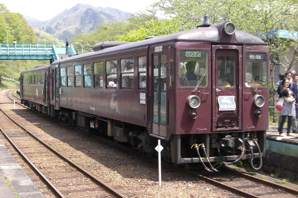 わたらせ渓谷鐡道わ89-302号現役時代 その2