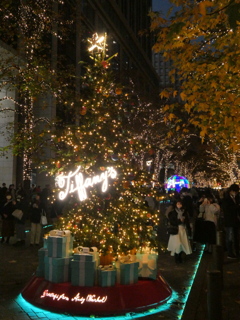 丸の内仲通りのクリスマスツリー(1)
