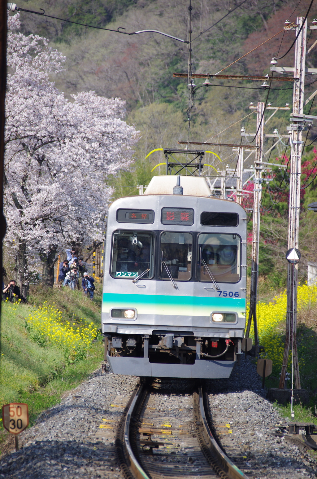 春の7500系