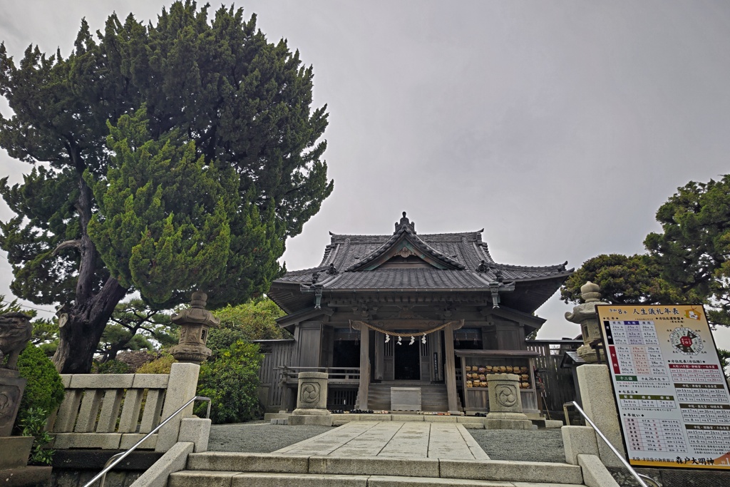 森戸神社と御神木？