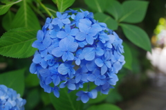 去り際にもう一度・・・