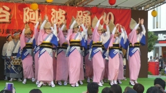 令和７年越谷阿波踊り(２)