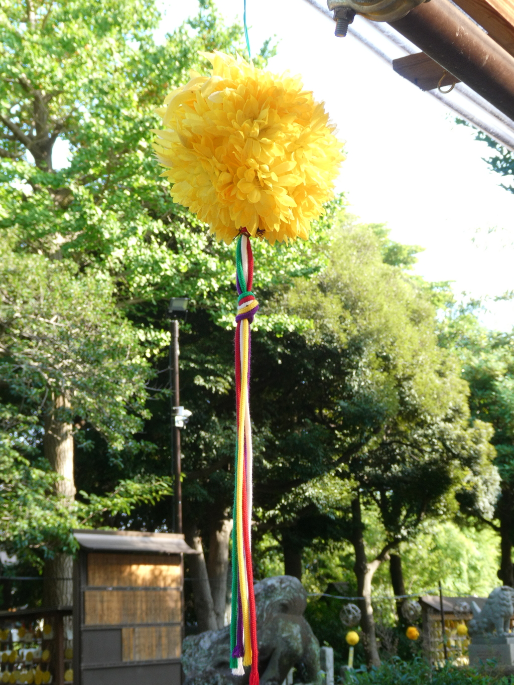 菊の薬玉