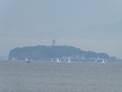 江の島まで近そう・・・