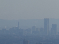 高尾山から撮った横浜