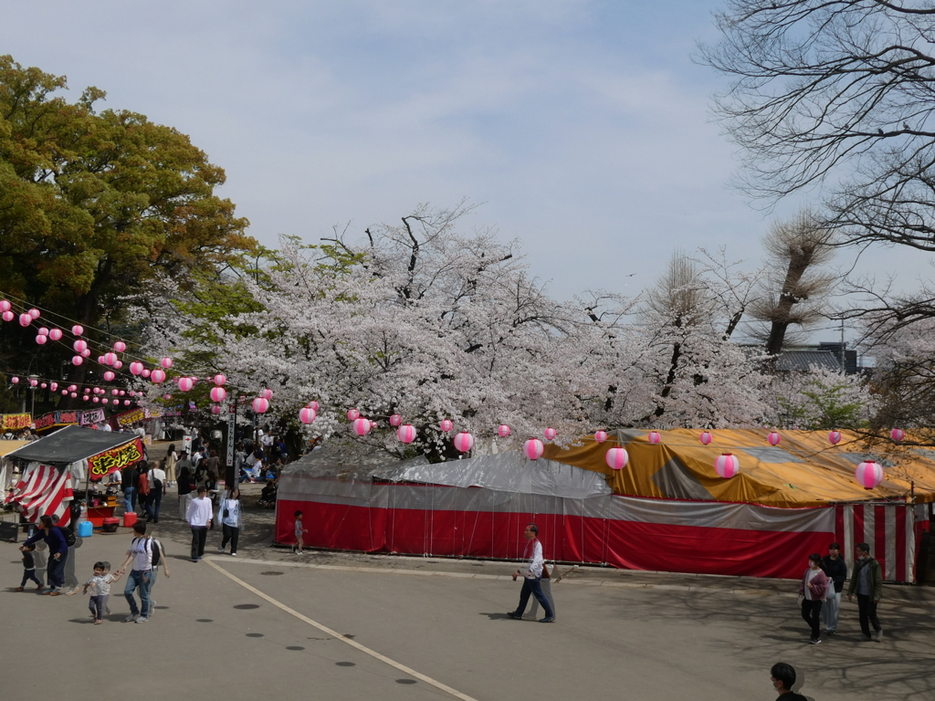 喜多院の桜まつり(2)