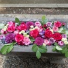 浅間神社の花手水