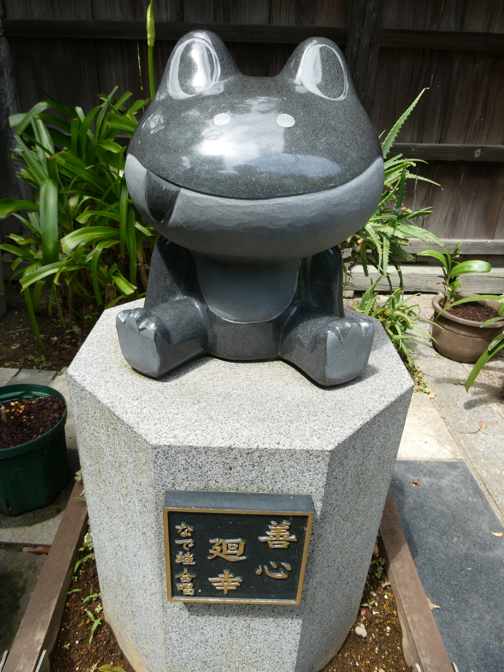 無事カエル？