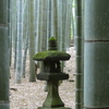 竹林の灯篭